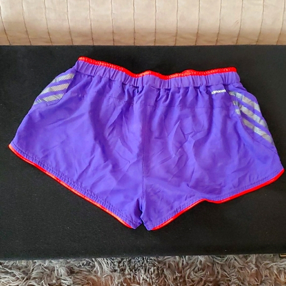 Shorts - Picture 2 of 5